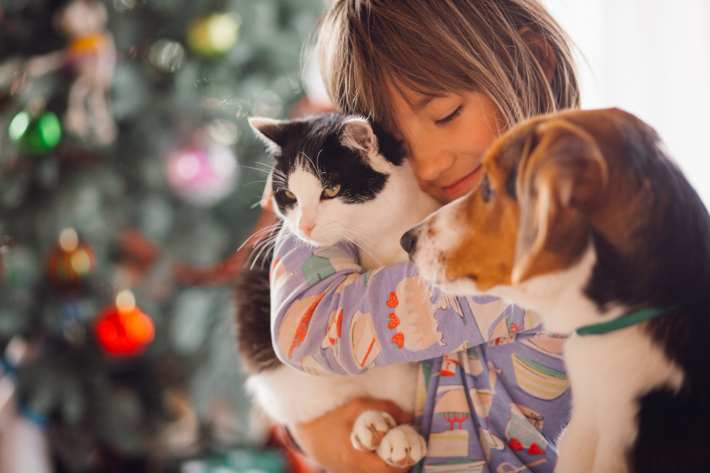 Como os animais ajudam na saúde mental: benefícios psicológicos e terapia assistida por animais